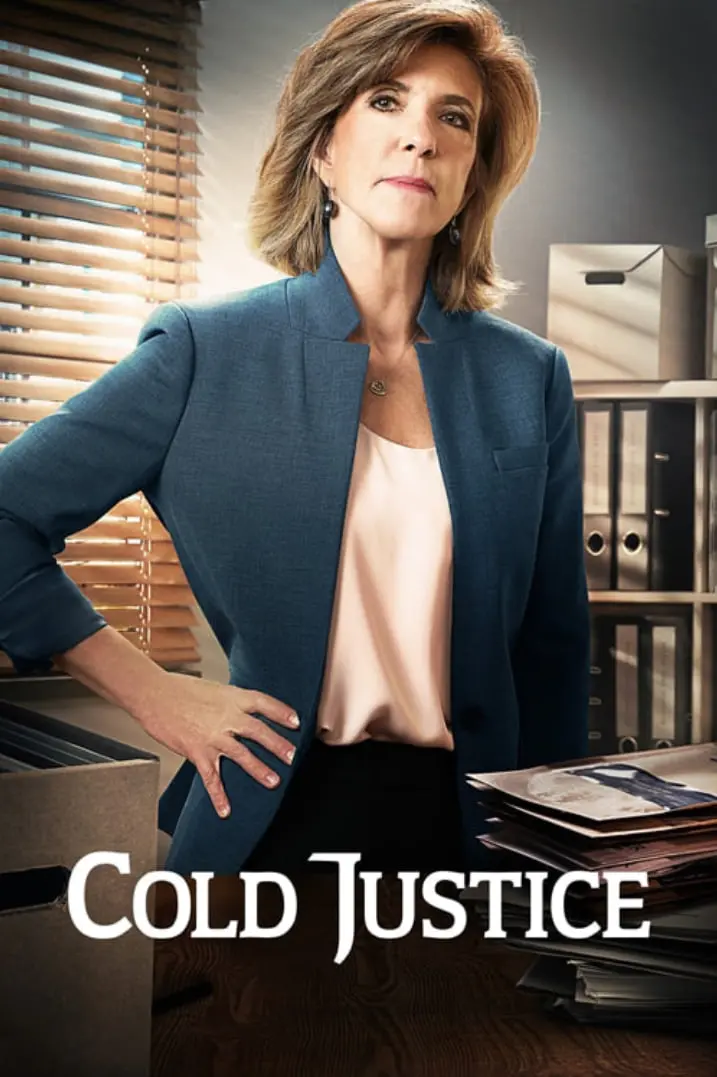 《陈案寻踪 第八季》：跨越时空的悬案解密，理性与情感交织的真相追寻之旅