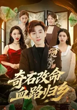 《奇石改命血路归乡》：校园奇遇，上演日常喜剧的奇幻变奏曲！